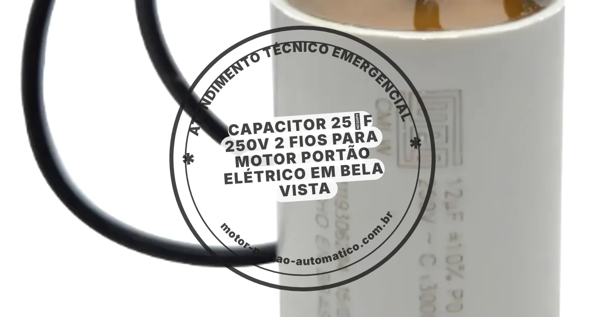 Conserto e instalação de portão automático em Bela Vista