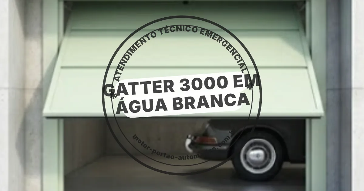 Conserto e instalação de portão automático em Água Branca
